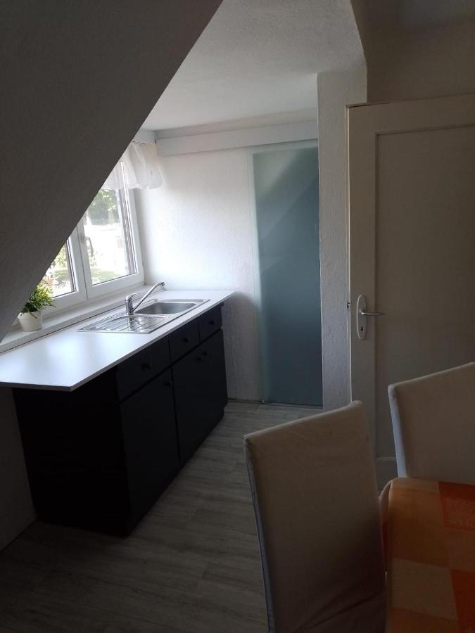 Apartment Biesnitz Gorlitz Bagian luar foto